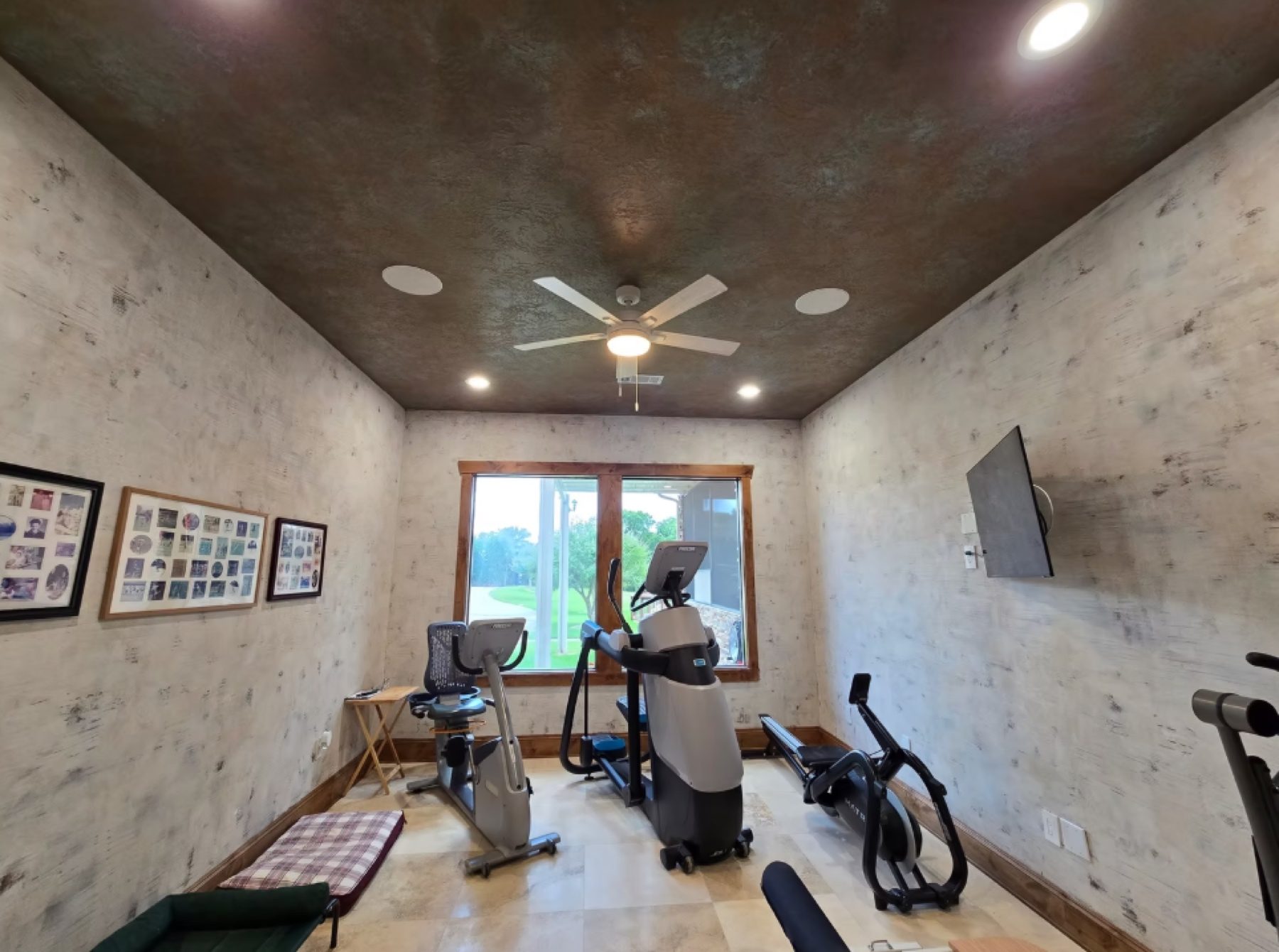 Hand-painted mural and decorative plaster room finish, project photo 49